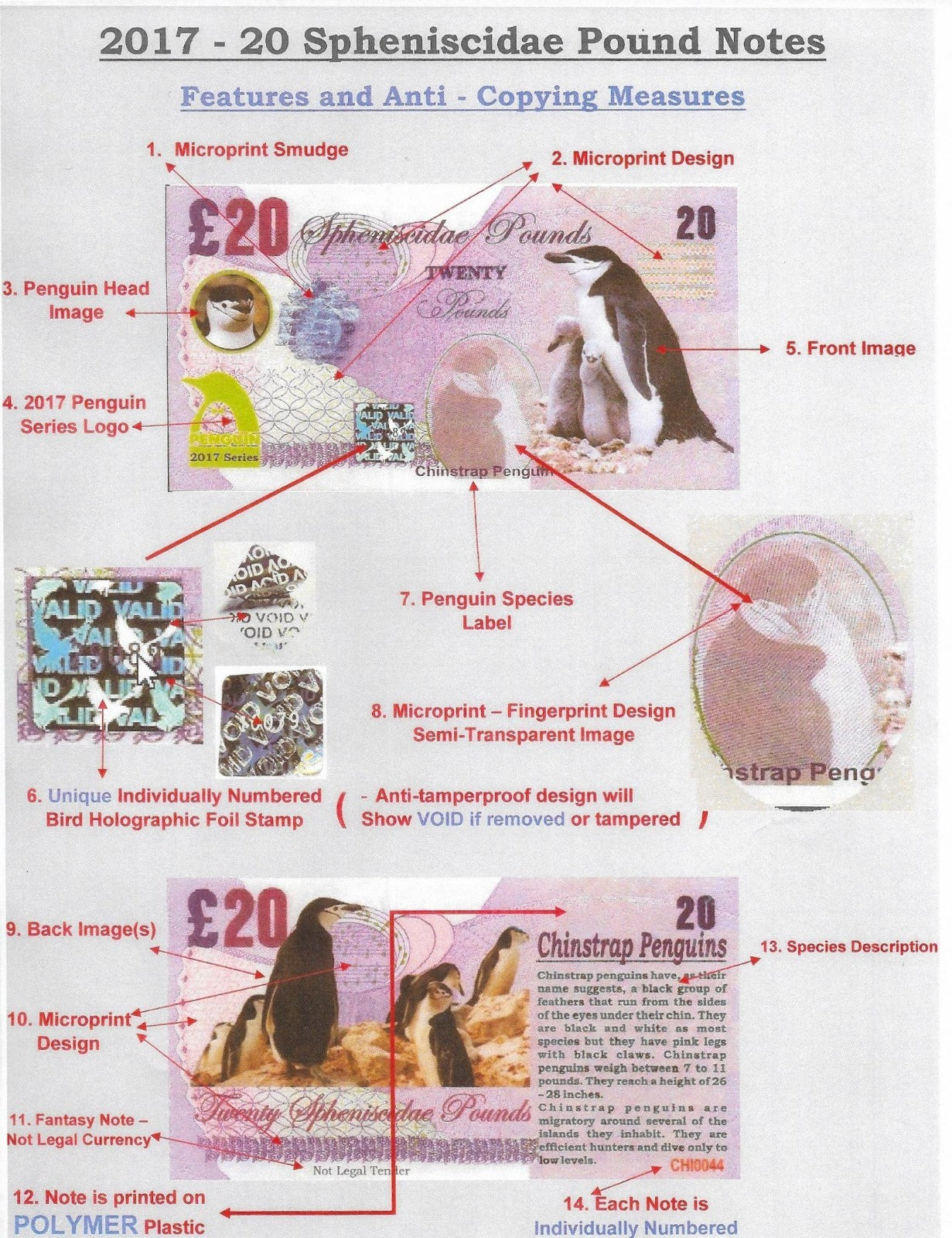2017 Penguin Series; All 17 PENGUIN Fantasy notes; 20 Spheniscidae Pounds