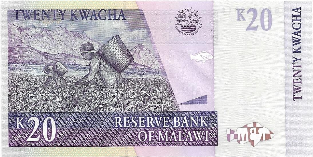 MALAWI 20 Kwacha, P52c, UNCIRCULATED, 2007, FISH and Tea Plantation