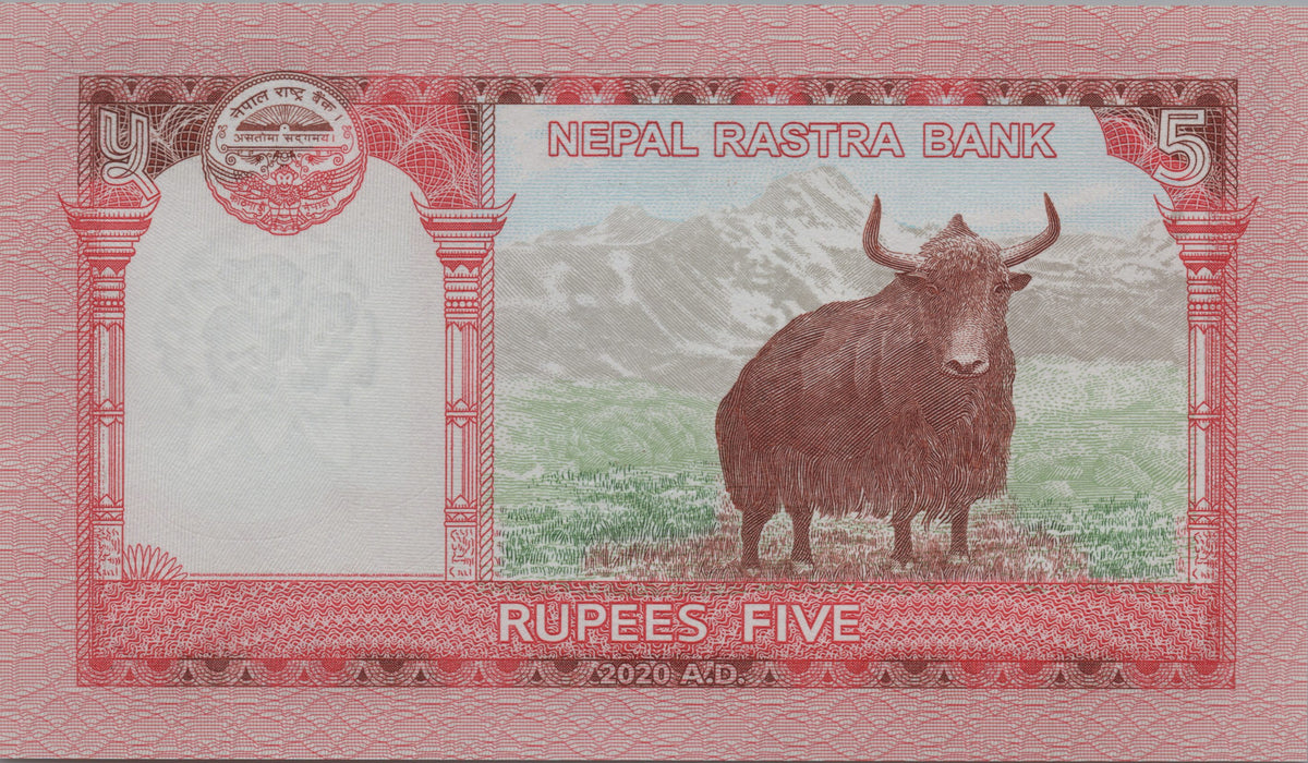 Nepal 5 Rupees, P76b, 2020, UNCIRCULATED; features a Yak