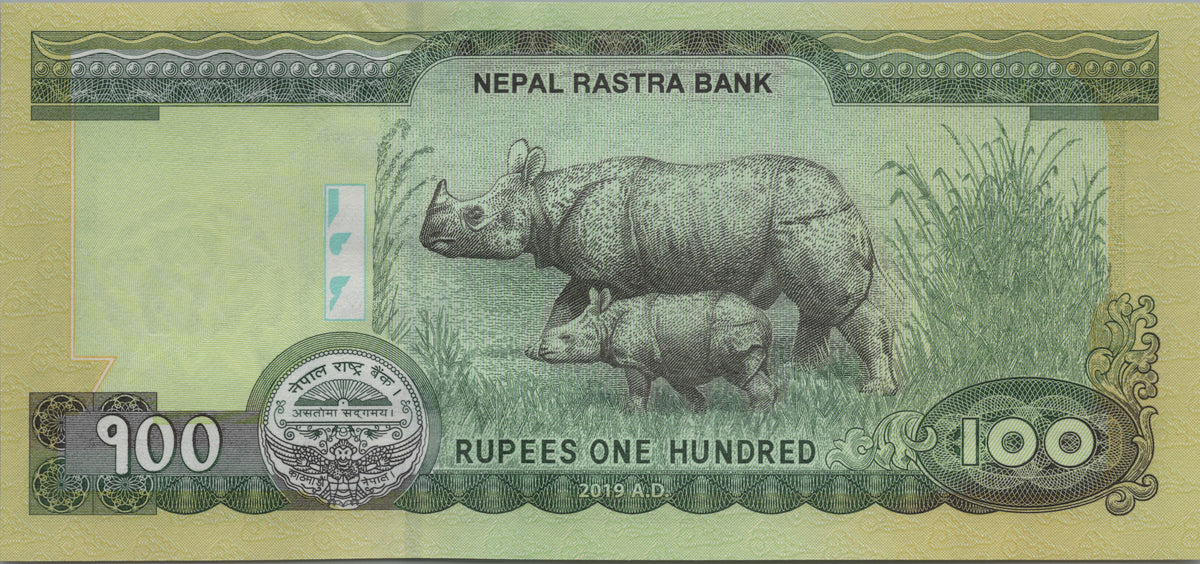 Nepal 100 Rupees, P80b, 2019, UNCIRCULATED; features a Rhinoceros and Calf