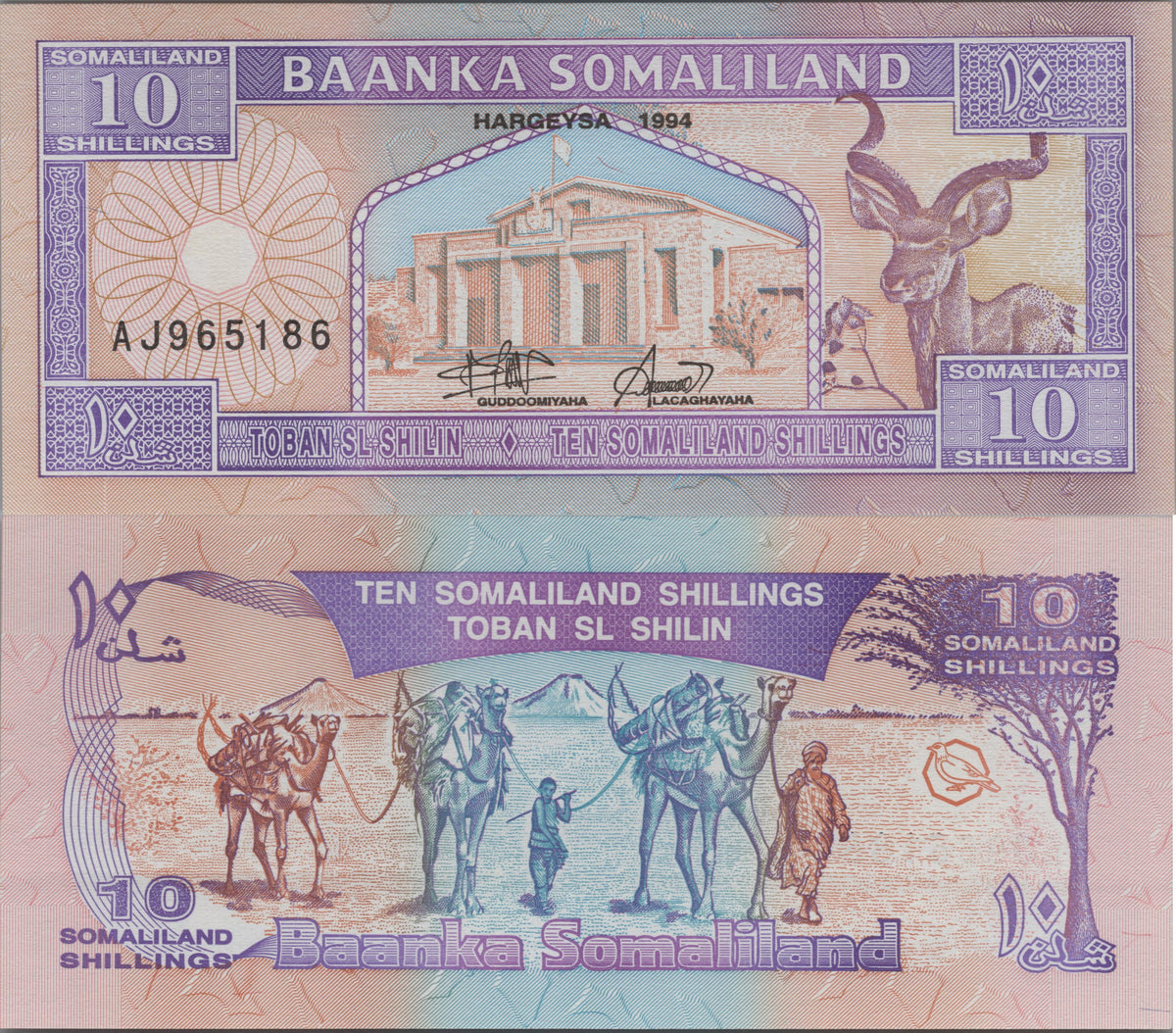 SOMALILAND 10 Shillings Banknote; P2a, UNCIRCULATED from 1994; Featuring a Camel and Kadu