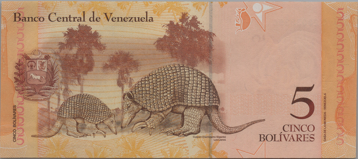 Venezuela 5 Bolivares Fuertes, P89d, 2011, Uncirculated; features a Giant Armadillo