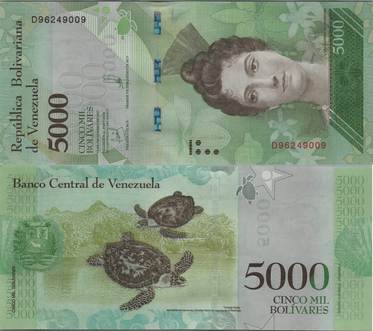 Venezuela 5000 Bolivares, P97c, 2017, Uncirculated; features a Hawksbill Turtle