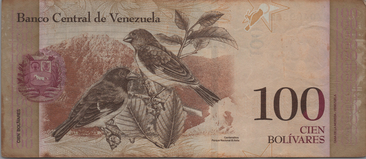 Venezuela 100 Bolivares, P-93i, CIRCULATED from 2015; features Simon Bolivar; 2 Birds