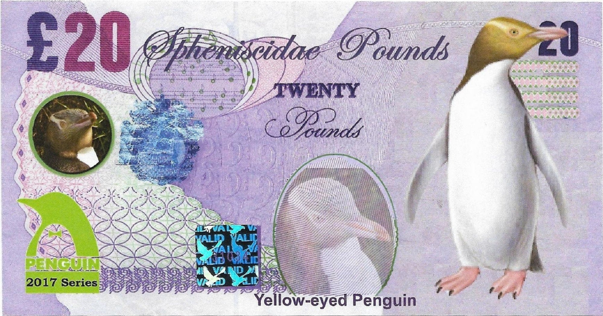 YELLOW-EYED PENGUIN - 20 Spheniscidae Pounds; A Banknote Man Fantasy Note
