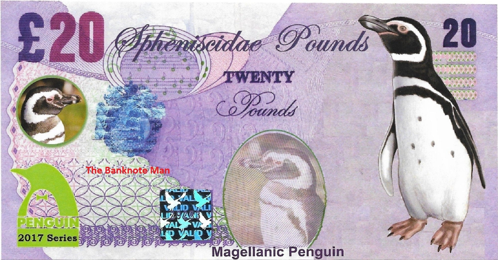 MAGELLANIC PENGUIN - 20 Spheniscidae Pounds; A Banknote Man Fantasy Note