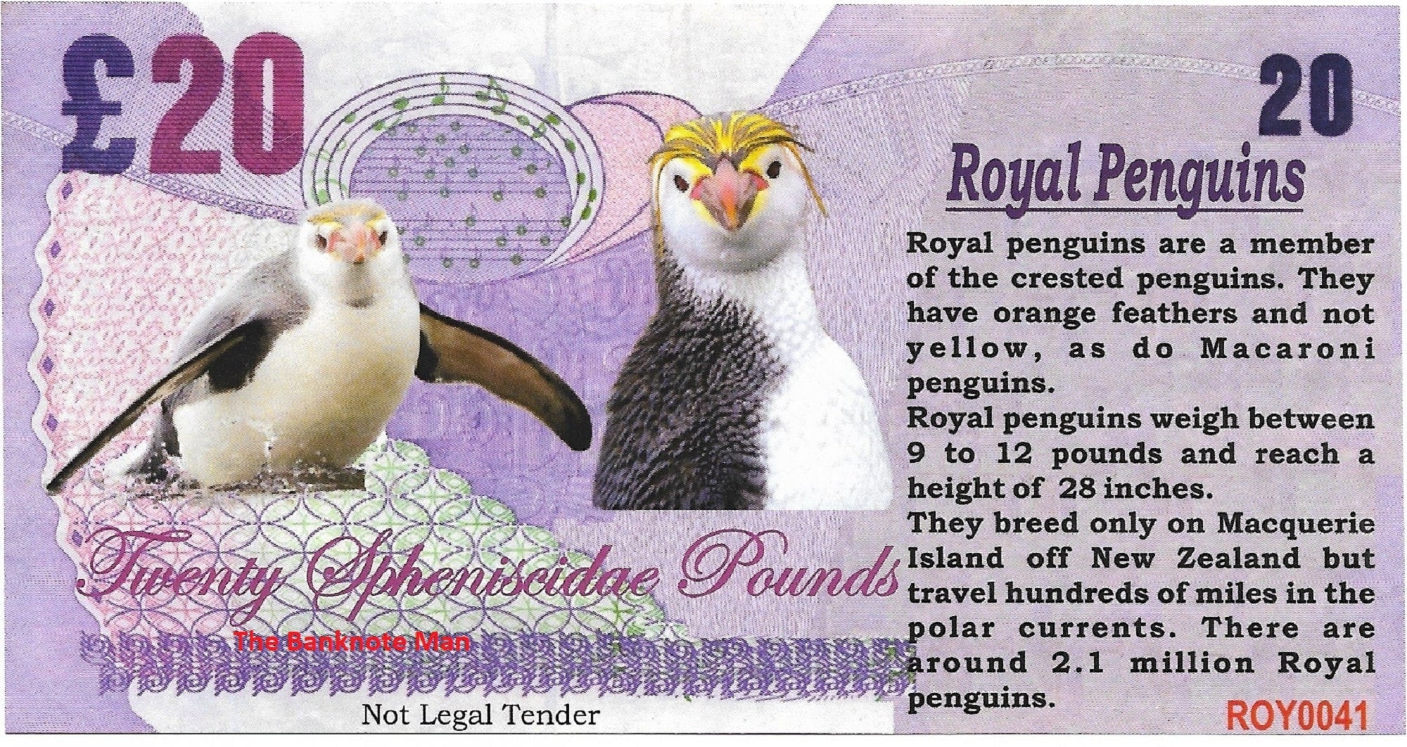 ROYAL PENGUIN - 20 Spheniscidae Pounds; A Banknote Man Fantasy Note