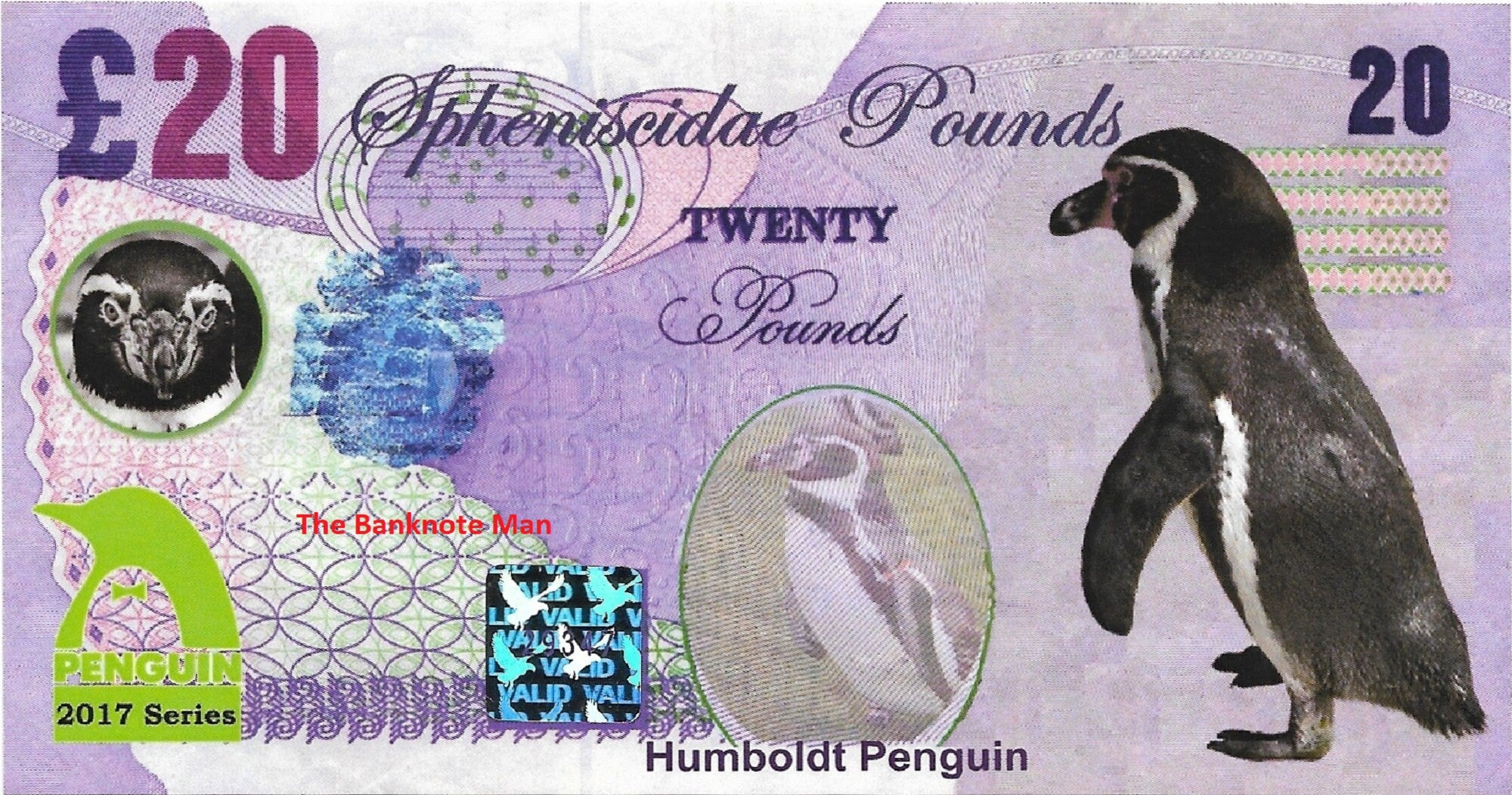 HUMBOLDT PENGUIN - 20 Spheniscidae Pounds; A Banknote Man Fantasy Note