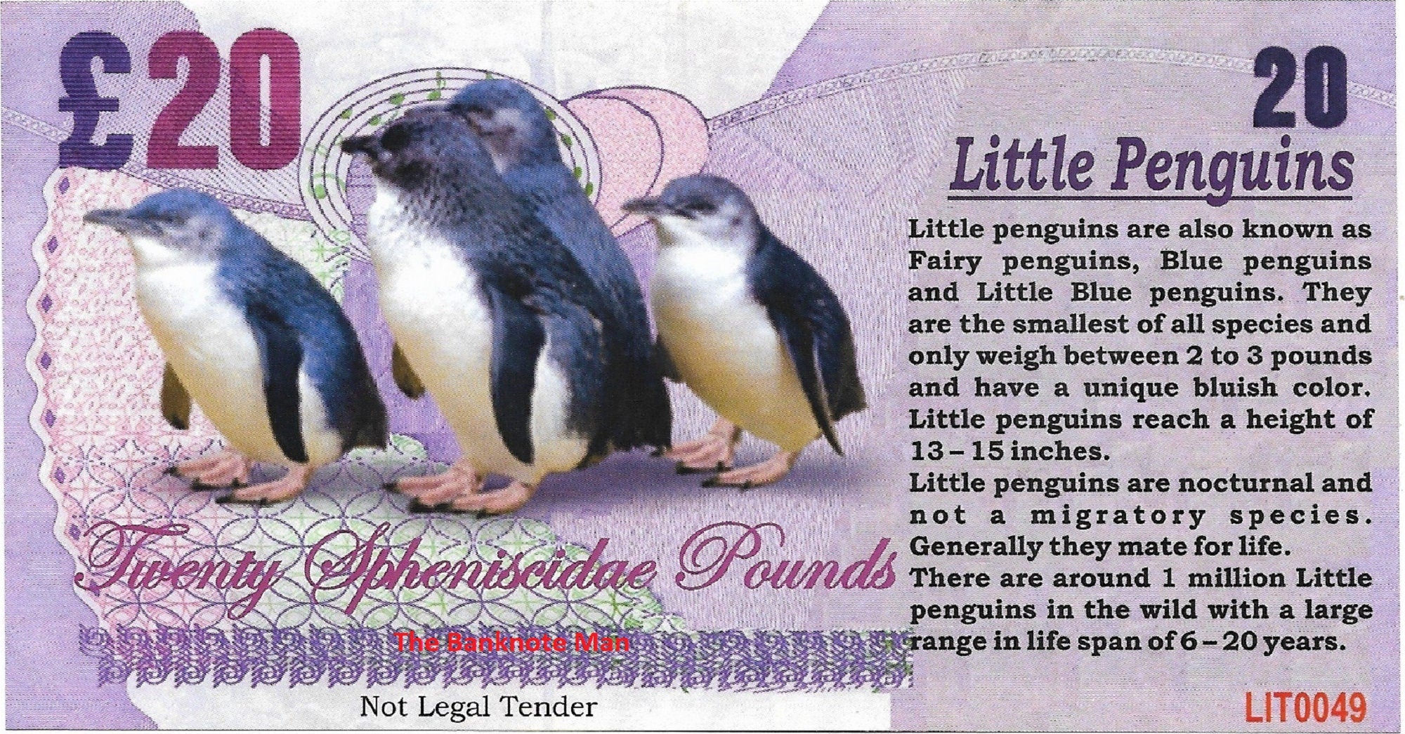 LITTLE BLUE PENGUIN - 20 Spheniscidae Pounds; A Banknote Man Fantasy Note
