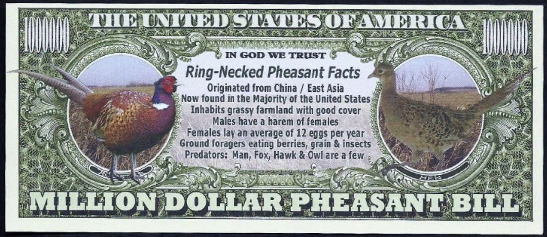 LOT of 2 GAME BIRDS Fantasy Notes ~ Duck & Pheasant