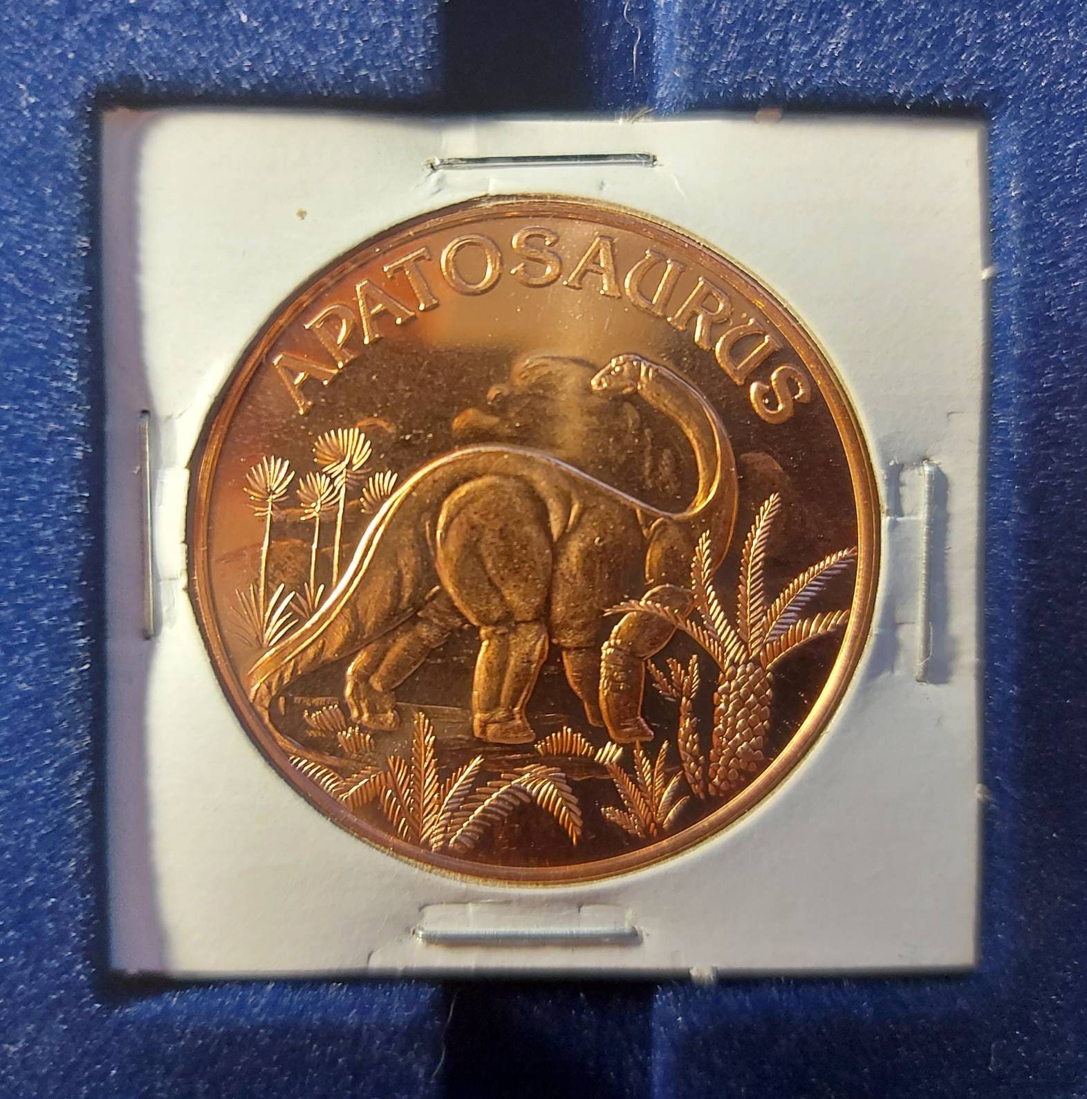 APATOSAURUS in 1 Oz. COPPER Collector Rounds; in 2x2 Holder ~ 1 OZ Pure .999 Copper