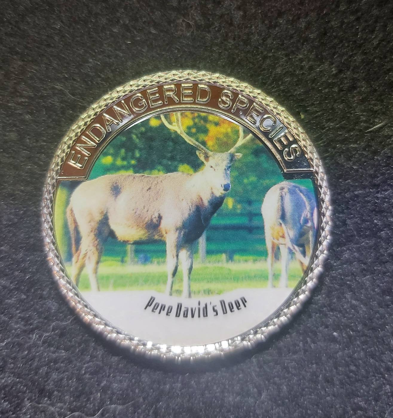 Silver Plated Coin ~ PERE DAVID'S DEER ~ Endangered Species Series ~ 30 Grams In Capsule