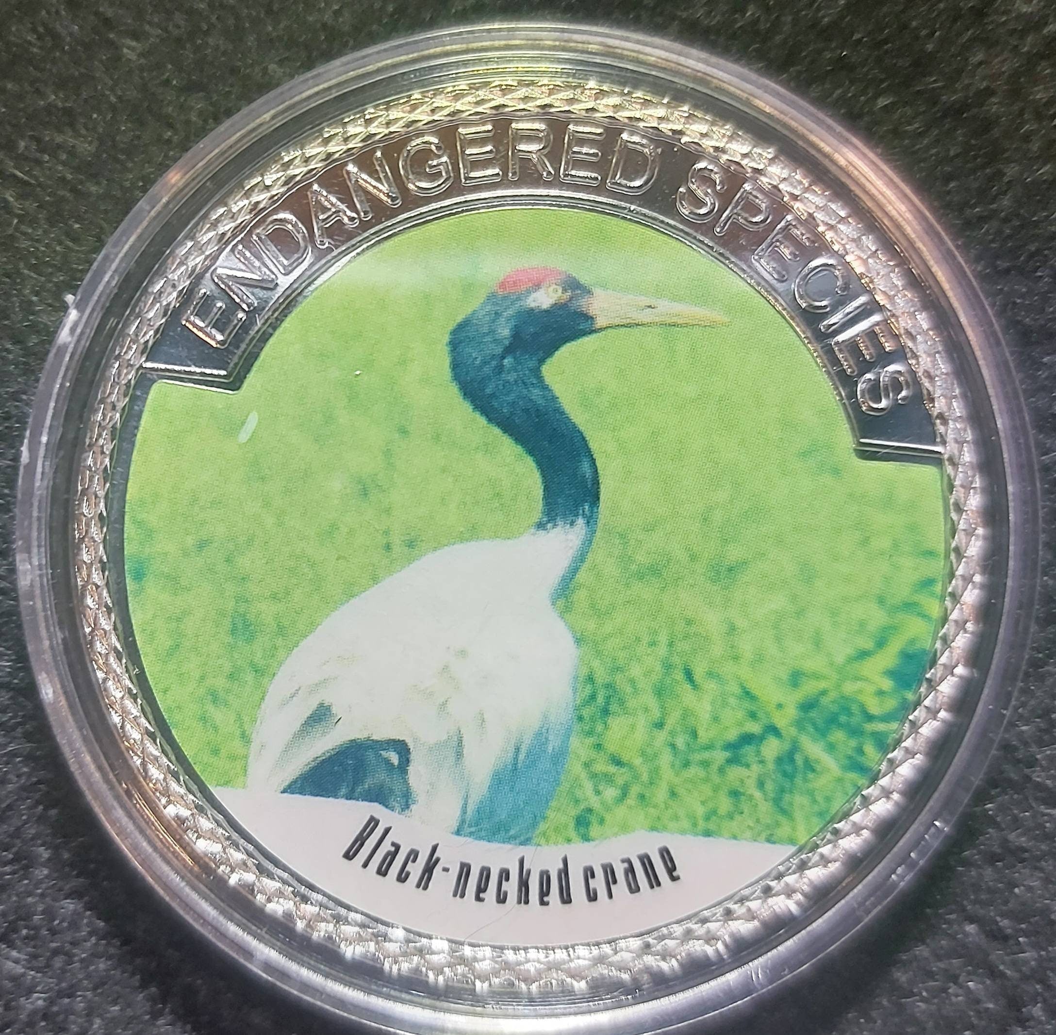 Silver Plated Coin ~ BLACK-NECKED CRANE ~ Endangered Species Series ~ 30 Grams In Capsule