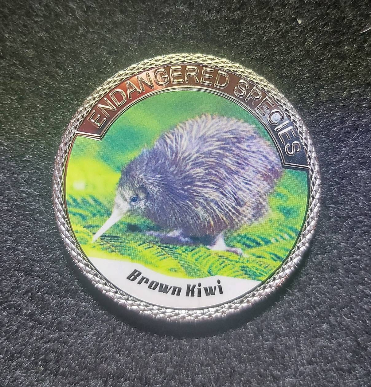 Silver Plated Coin ~ BROWN KIWI ~ Endangered Species Series ~ 30 Grams In Capsule