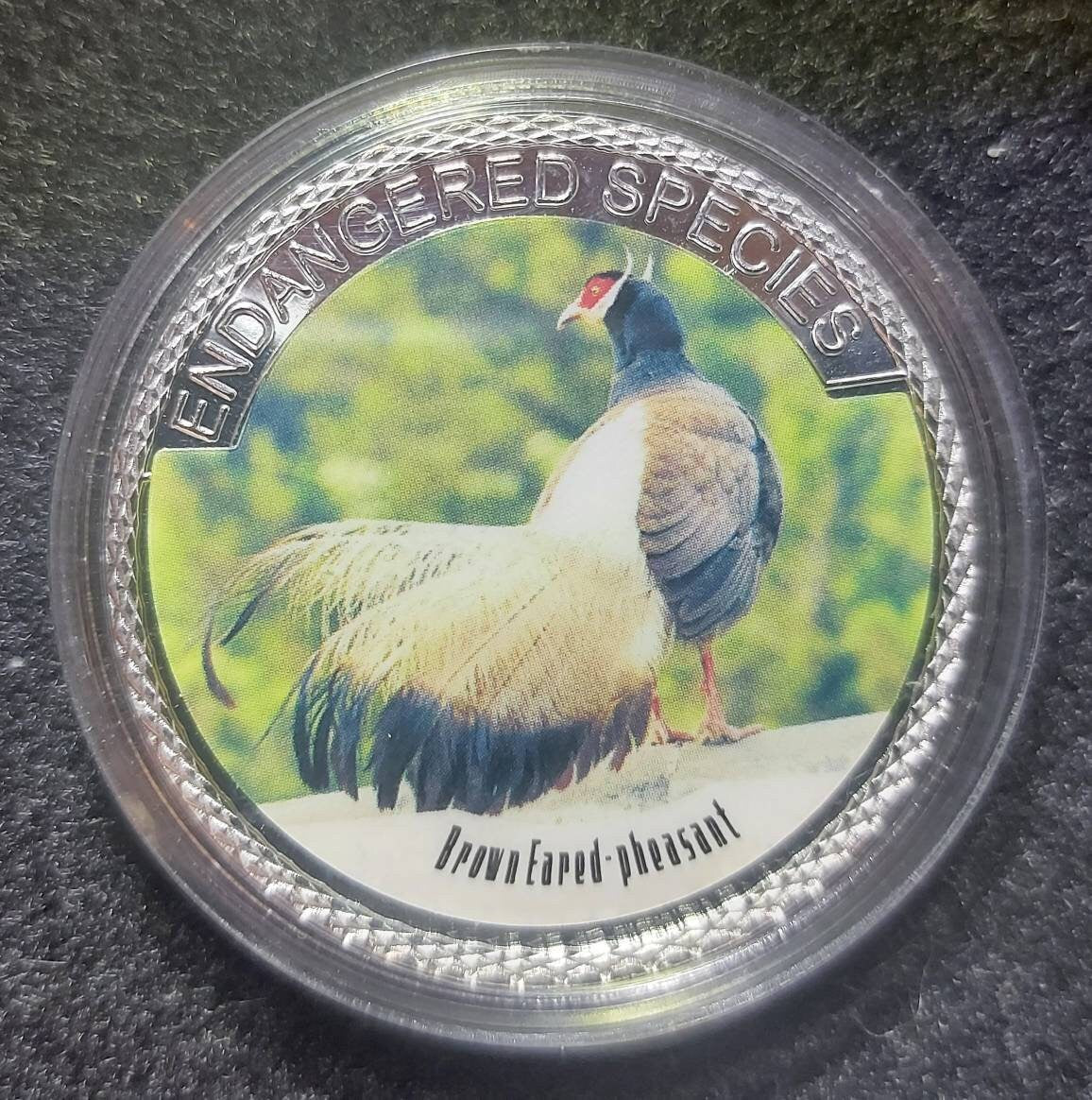 Silver Plated Coin ~ BROWN EARED PHEASANT ~ Endangered Species Series ~ 30 Grams In Capsule
