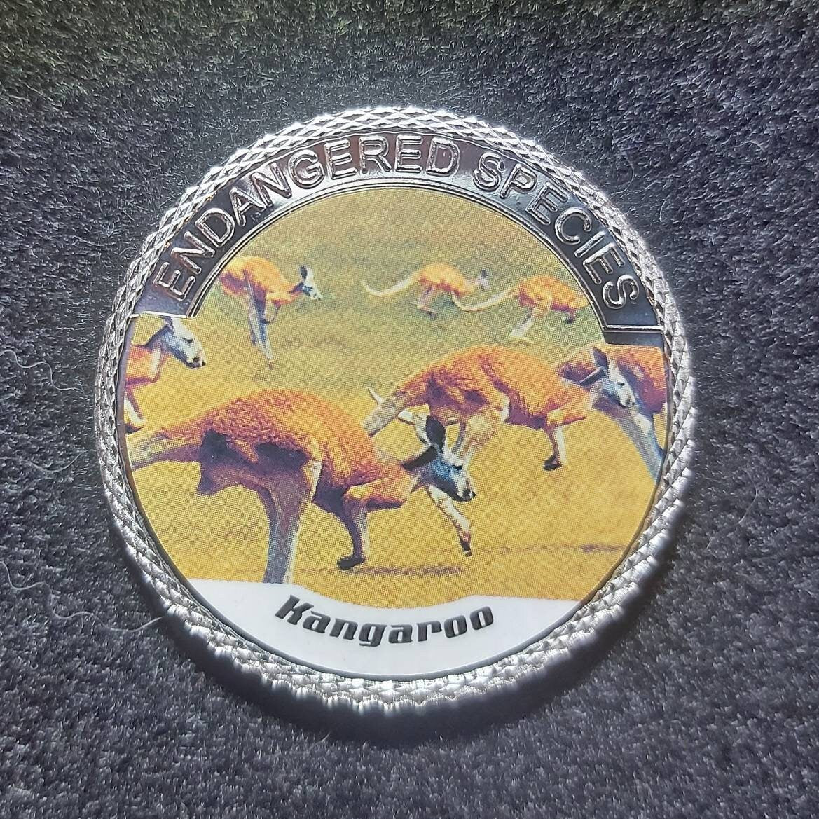 Silver Plated Coin ~ KANGAROO ~ Endangered Species Series ~ 30 Grams In Capsule