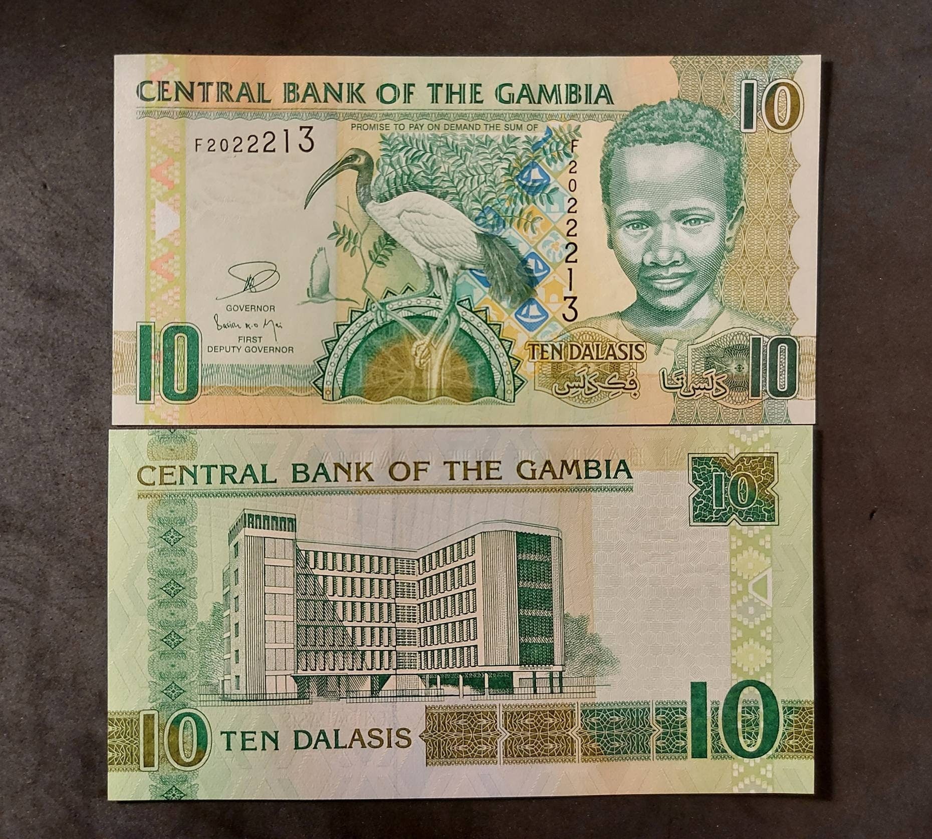 GAMBIA 10 Dalasis Banknote; P -26C, UNCIRCULATED from 2006; Featuring a Sacred Ibis and a CROCODILE Head as Watermark