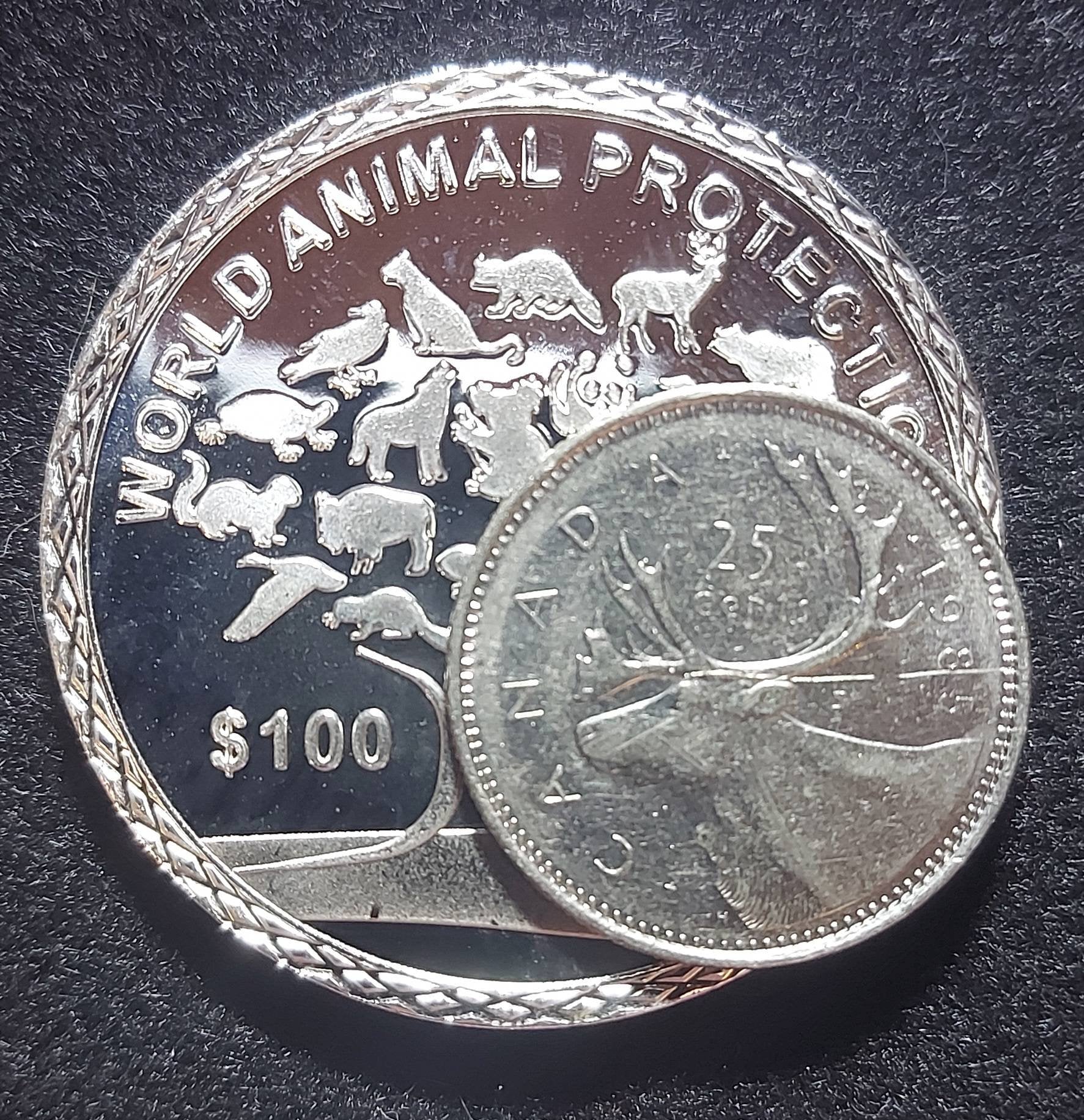 Silver Plated Coin ~ KANGAROO ~ Endangered Species Series ~ 30 Grams In Capsule
