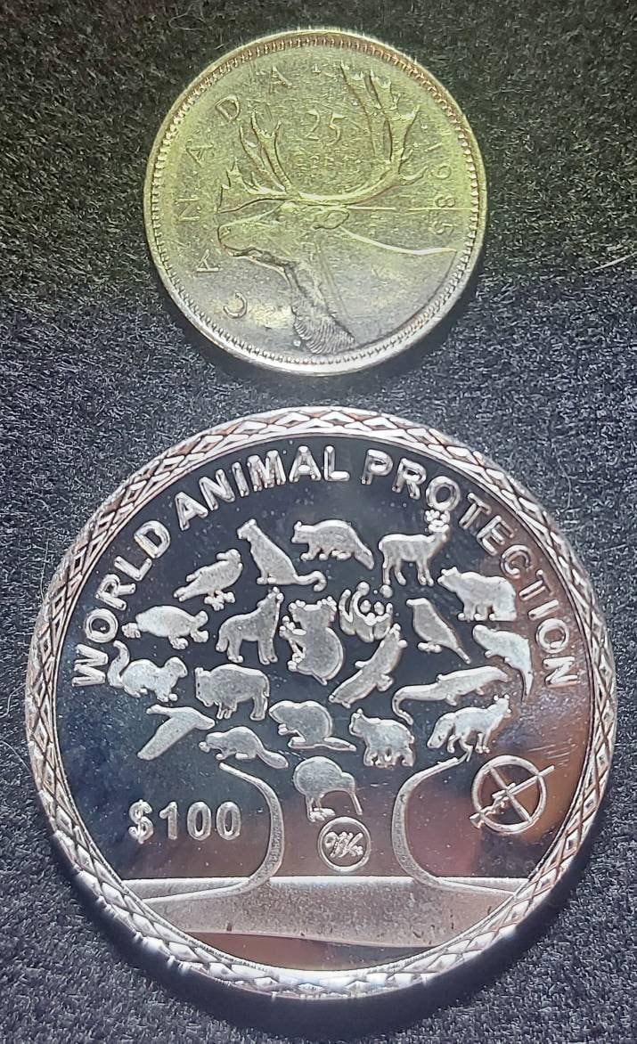 Silver Plated Coin ~ KANGAROO ~ Endangered Species Series ~ 30 Grams In Capsule