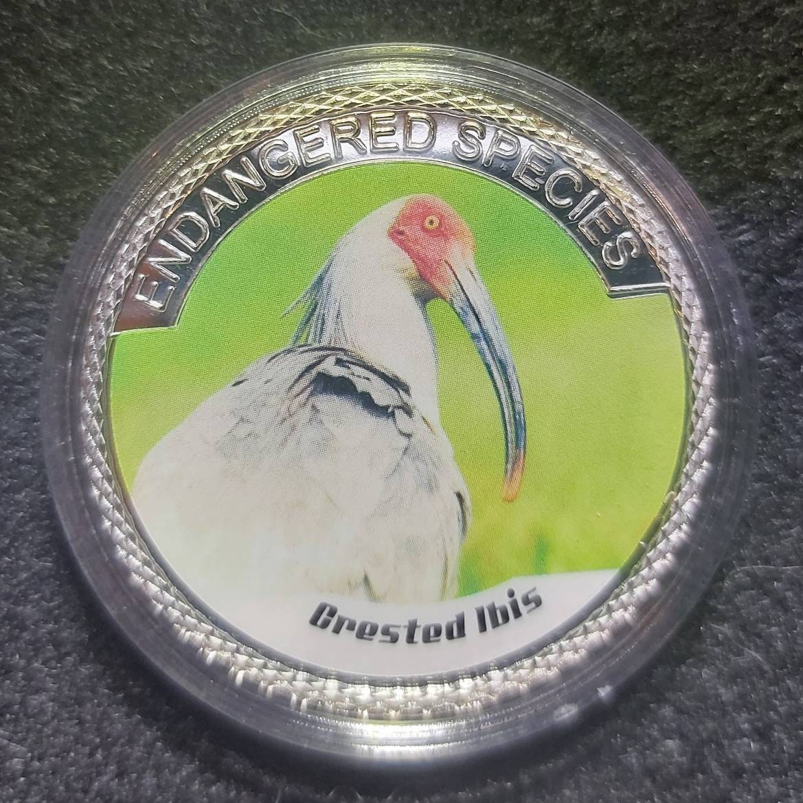 Silver Plated Coin ~ CRESTED IBIS ~ Endangered Species Series ~ 30 Grams In Capsule