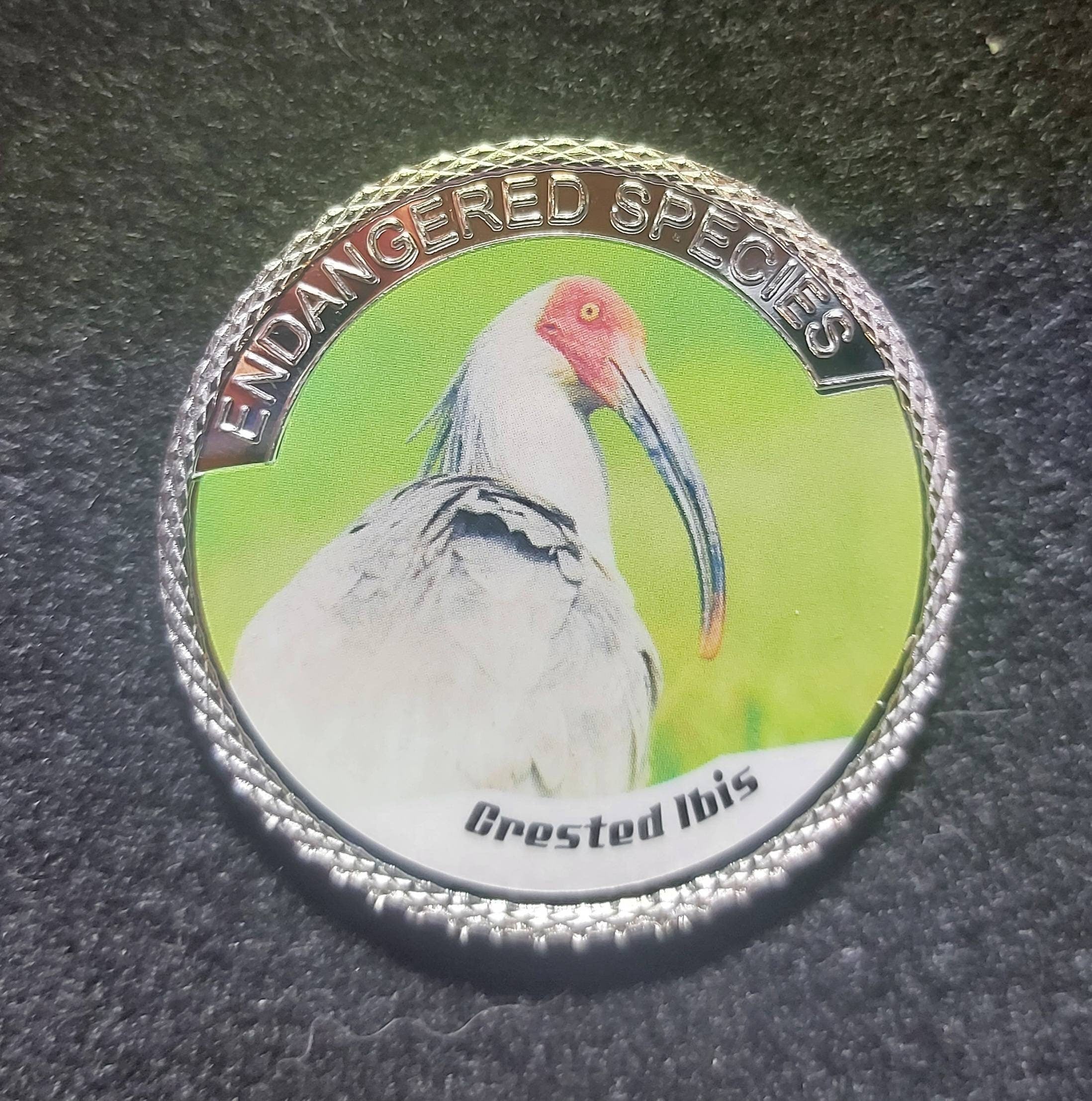 Silver Plated Coin ~ CRESTED IBIS ~ Endangered Species Series ~ 30 Grams In Capsule