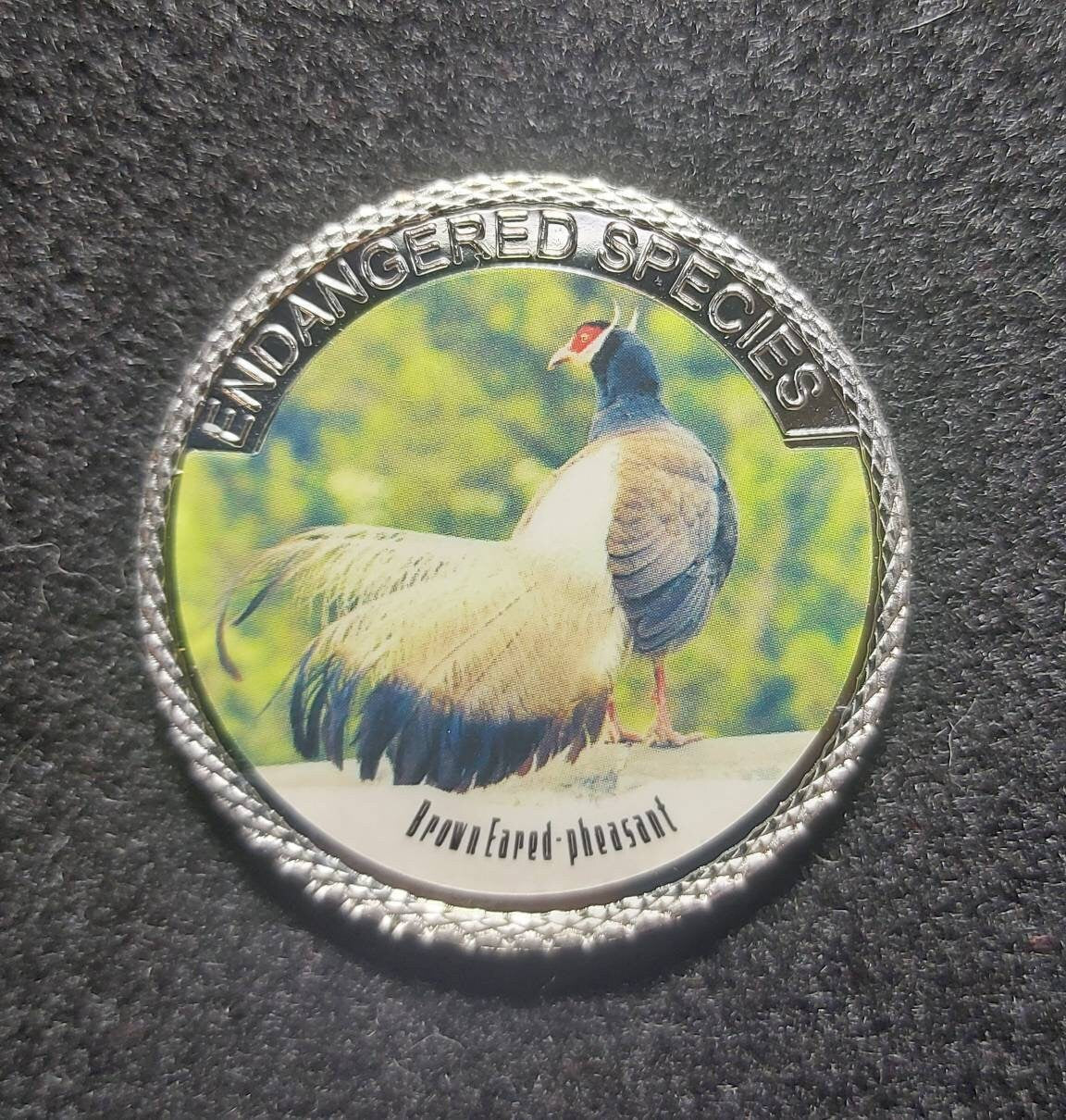 Silver Plated Coin ~ BROWN EARED PHEASANT ~ Endangered Species Series ~ 30 Grams In Capsule