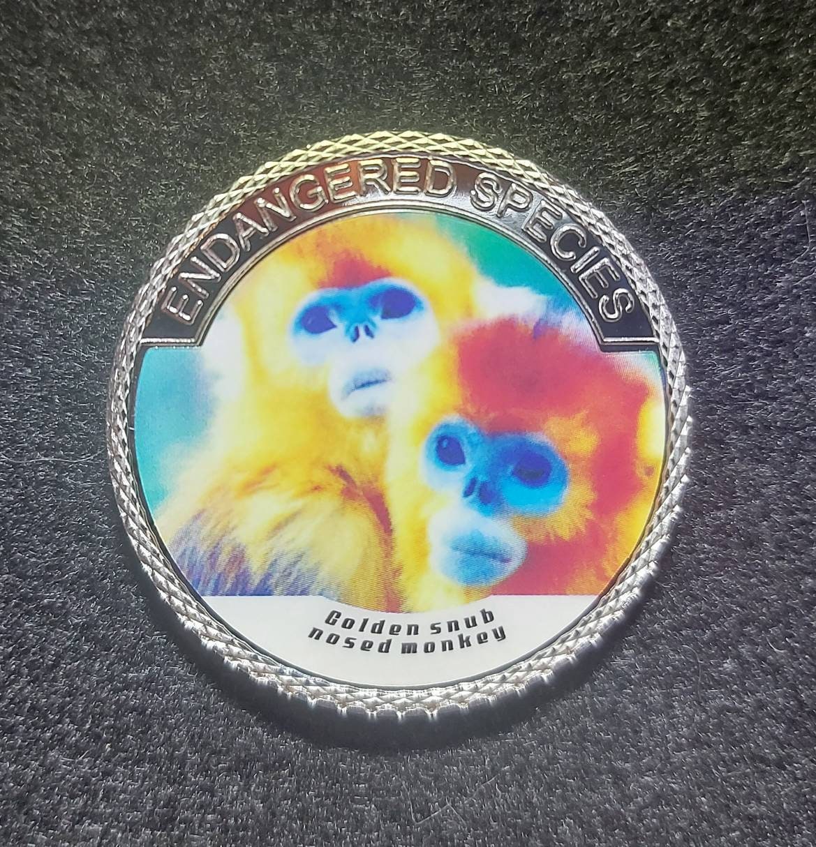 Silver Plated Coin ~ GOLDEN Snub-Nosed MONKEY ~ Endangered Species Series ~ 30 Grams In Capsule