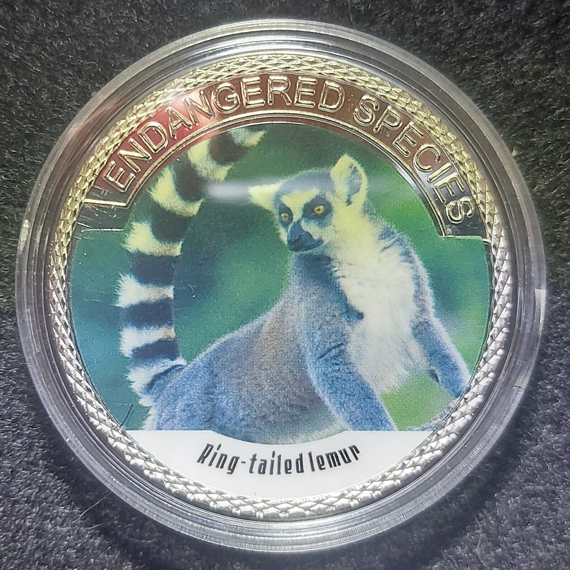 Silver Plated Coin ~ RING-TAILED LEMUR ~ Endangered Species Series ~ 30 Grams In Capsule