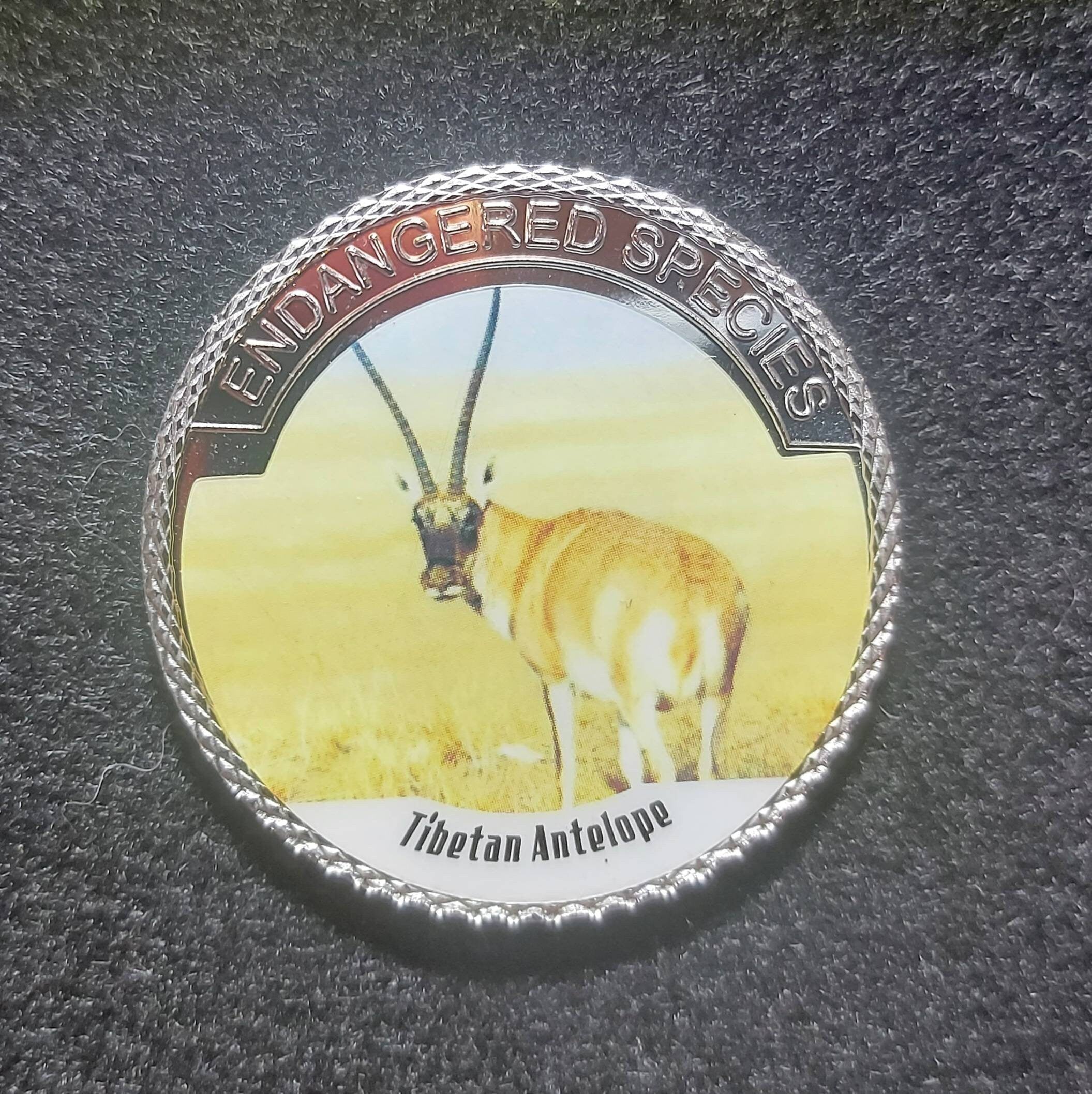 Silver Plated Coin ~ TIBETAN ANTELOPE ~ Endangered Species Series ~ 30 Grams In Capsule
