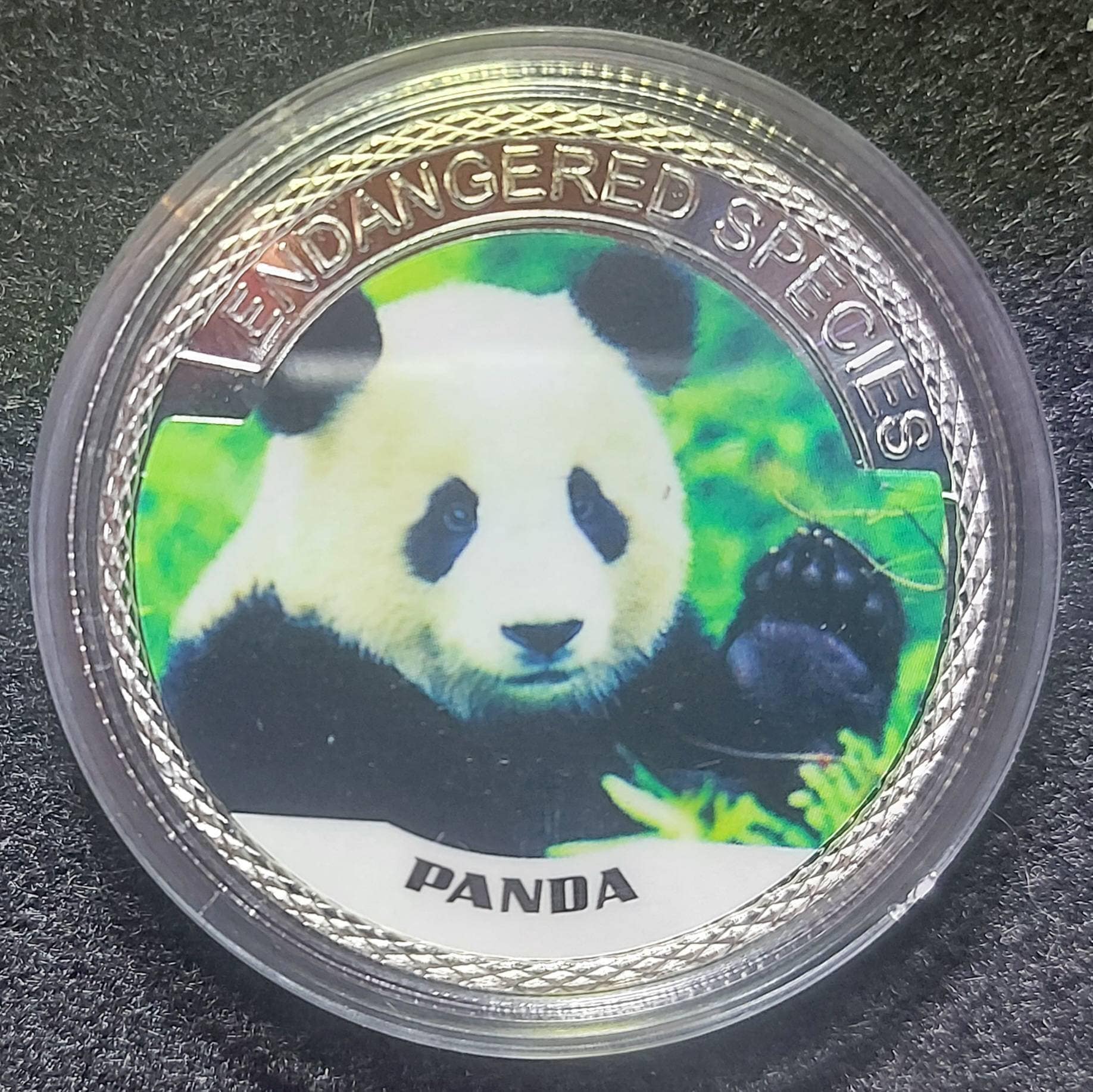 Silver Plated Coin ~ PANDA ~ Endangered Species Series ~ 30 Grams In Capsule