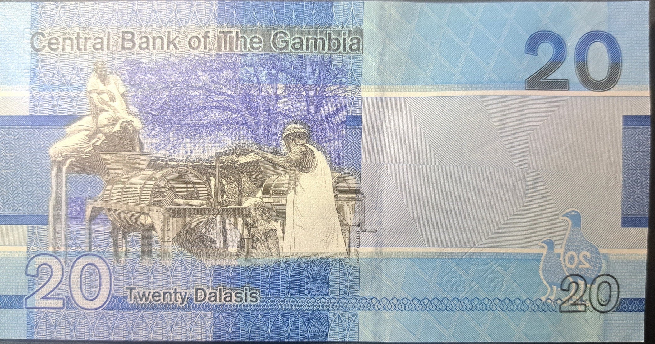 GAMBIA 20 Dalasis; B-237a; 2019, UNCIRCULATED; Featuring Bush Fowl birds