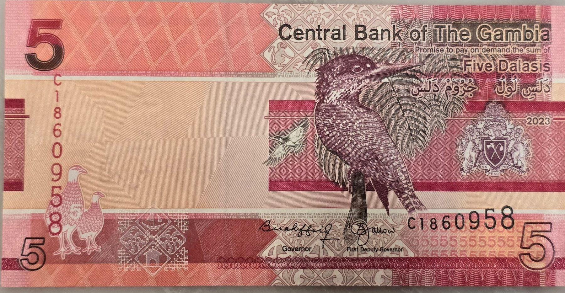 GAMBIA 5 Dalasis, B235c, UNCIRCULATED, 2023; Featuring a Giant Kingfisher and Cattle