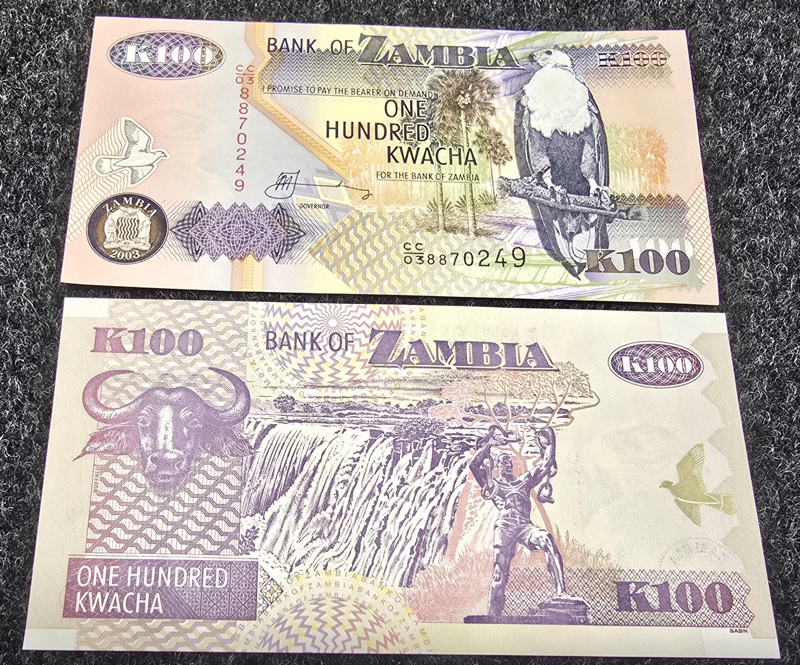 ZAMBIA 100 Kwacha, P-38d, UNCIRCULATED, 2003, African Fish Eagle; Water Buffalo