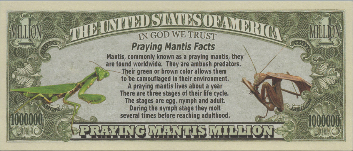 Praying Mantis, Fantasy Million Note, Wildlife Series
