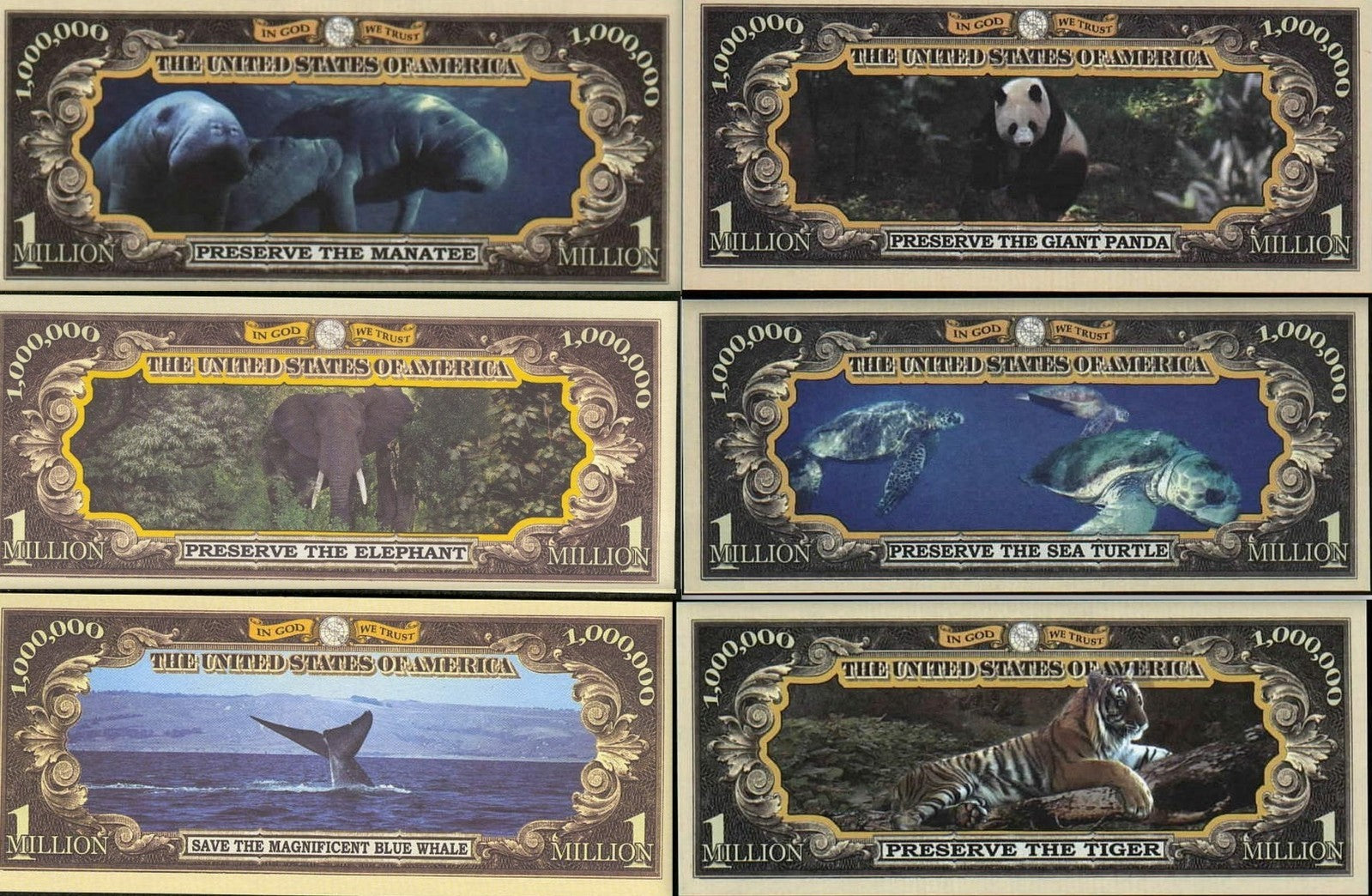 COMPLETE SET 2004-05 - Endangered Species Series - Million Fantasy Notes