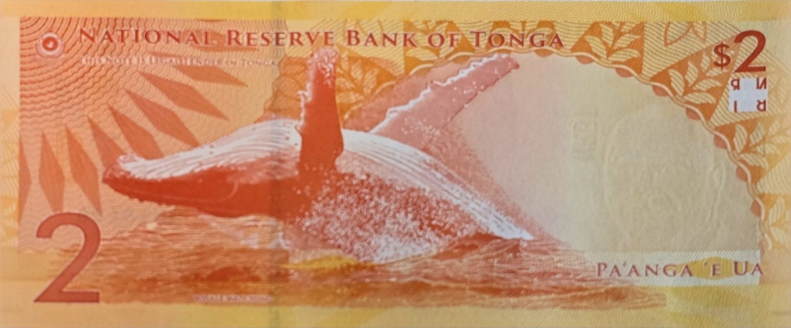 Tonga 2 Paanga Banknote, B-225a, UNCIRCULATED from 2023; features Leaping Whale