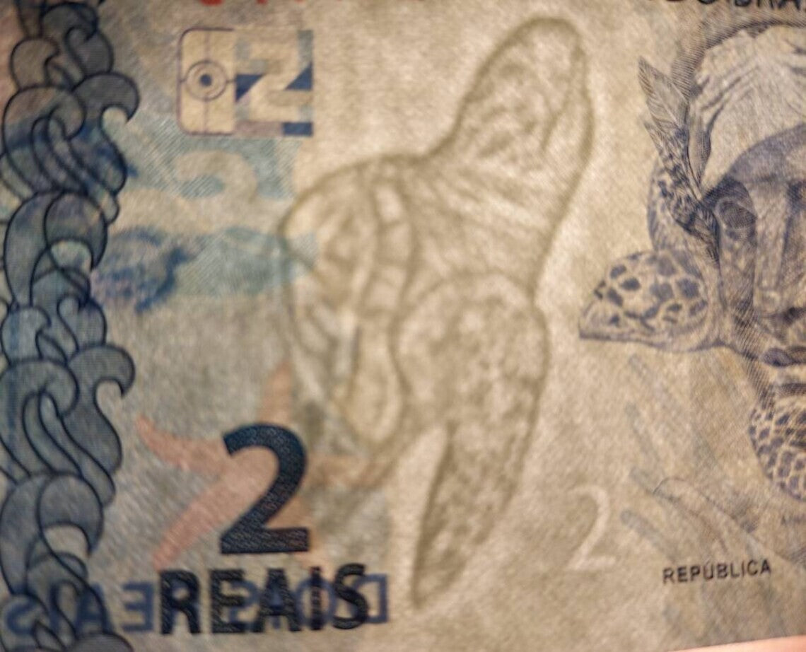 Brazil 2 Reais; B-874f; UNC; 2021 ~ Turtles on note and as watermark