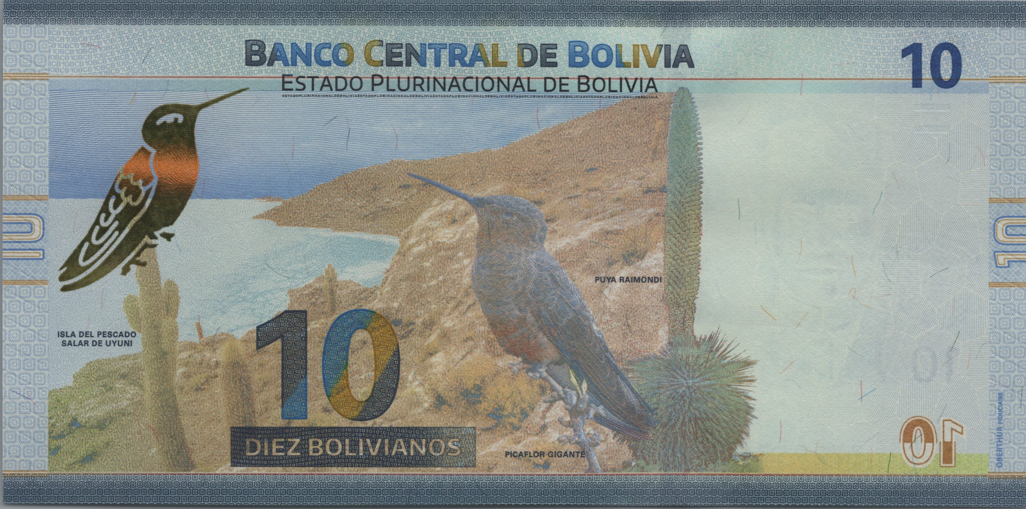 BOLIVIA 10 Bolivianos, P248b, UNCIRCULATED, 2024; features a Hummingbird