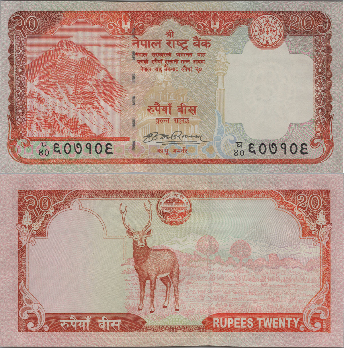 Nepal 20 Rupees, P62a, ND (2009), UNCIRCULATED; features a Swamp Deer