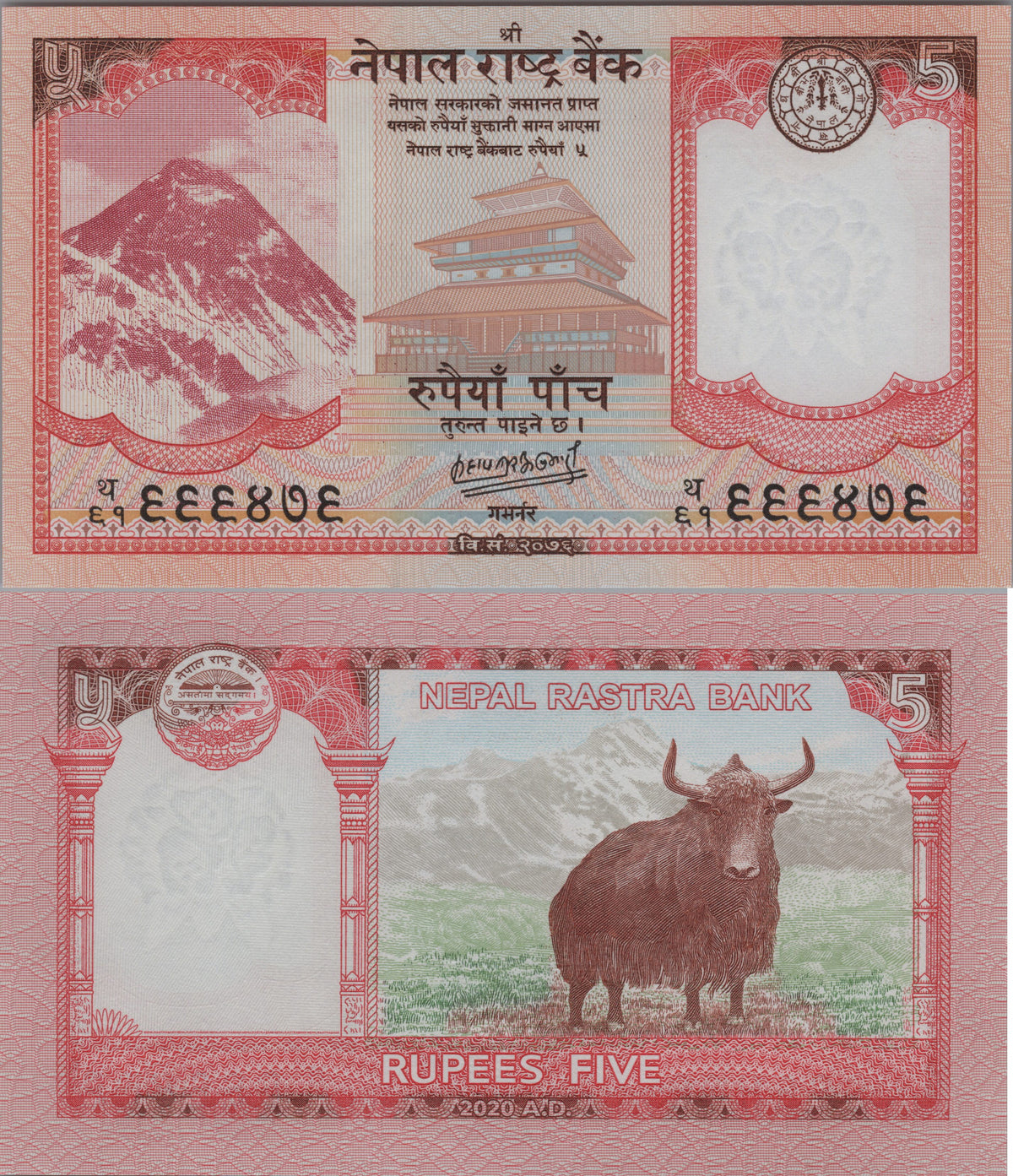 Nepal 5 Rupees, P76b, 2020, UNCIRCULATED; features a Yak