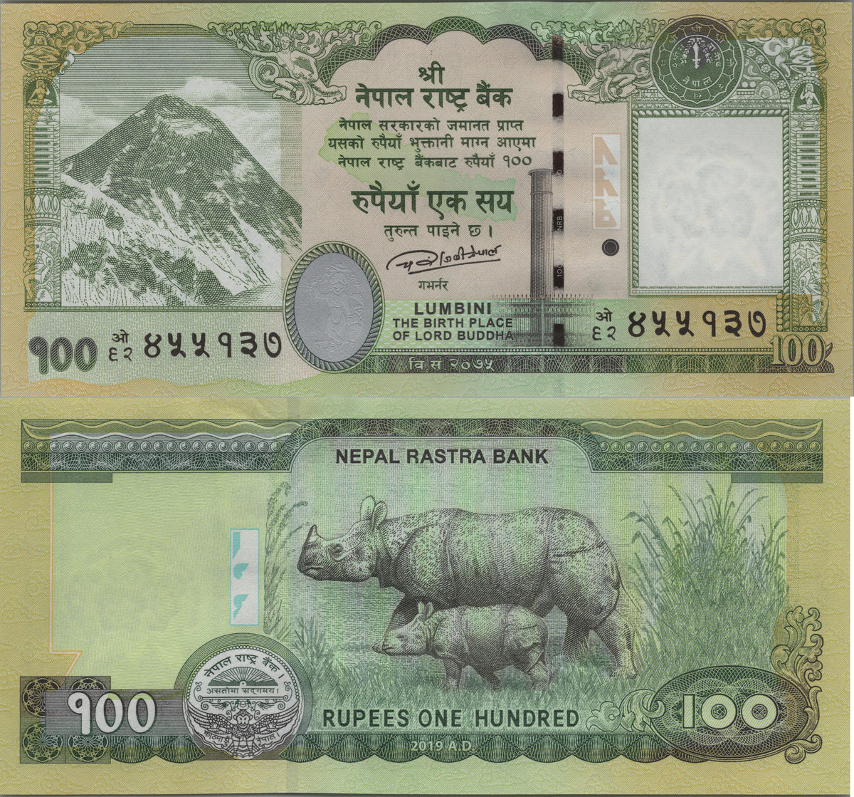 Nepal 100 Rupees, P80b, 2019, UNCIRCULATED; features a Rhinoceros and Calf
