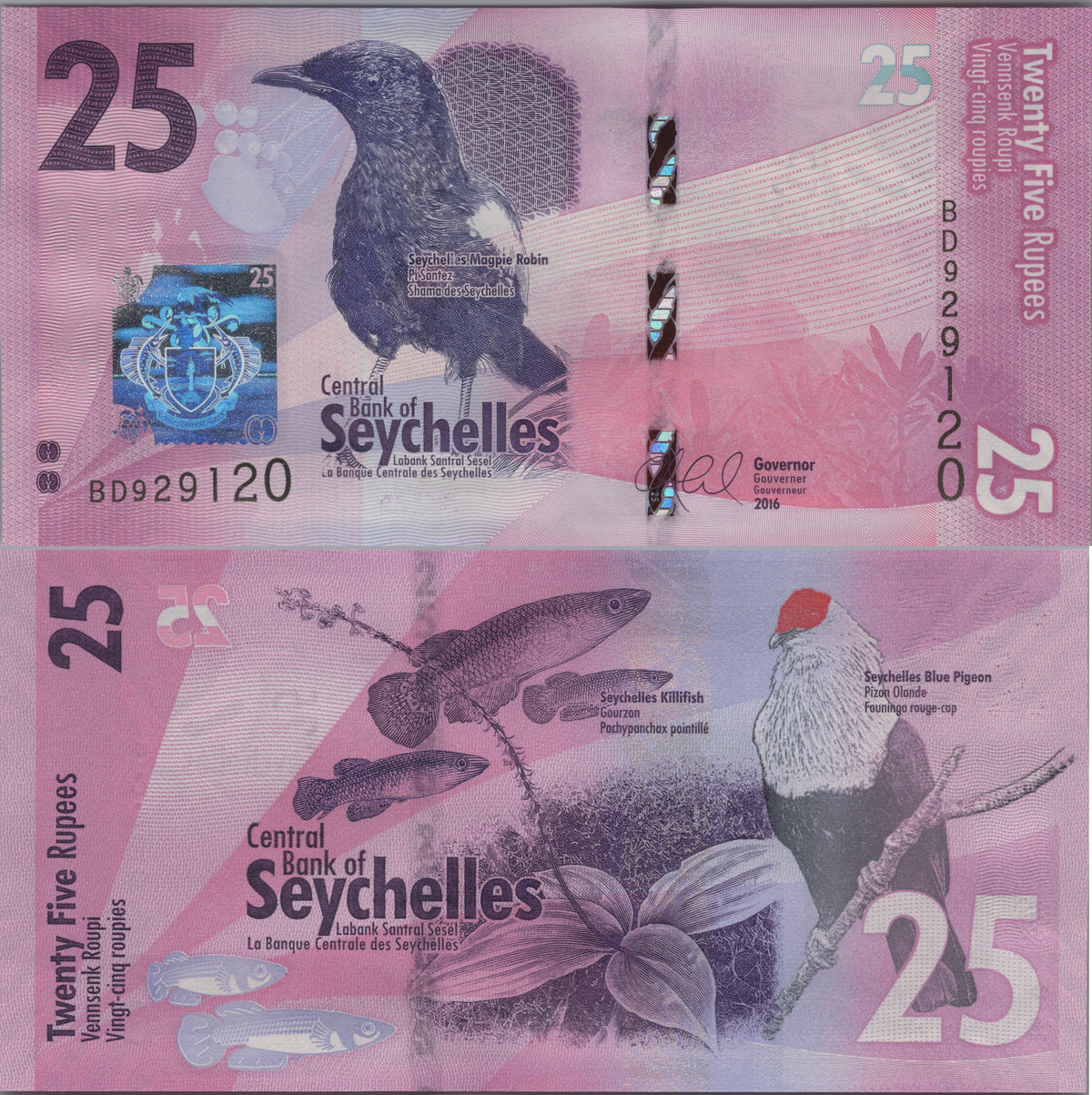 Seychelles 25 Rupees, P48, Uncirculated, 2016; features a Seychelles Magpie Robin and Blue Pigeon