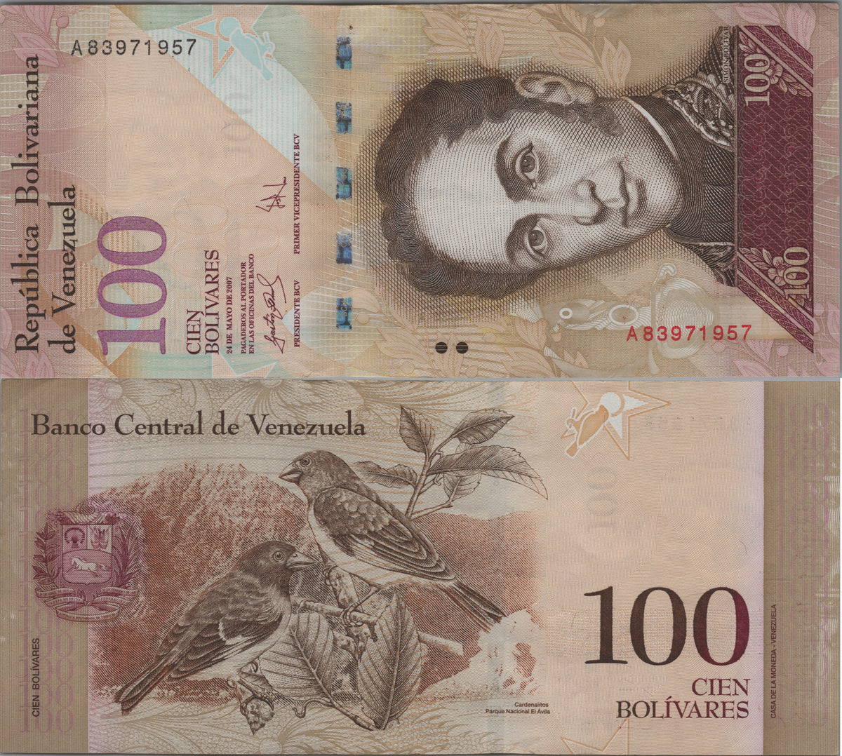 Venezuela 100 Bolivares Fuertes, P93a2, 2007, About Uncirculated (AU); features a Black-hooded Red Siskin