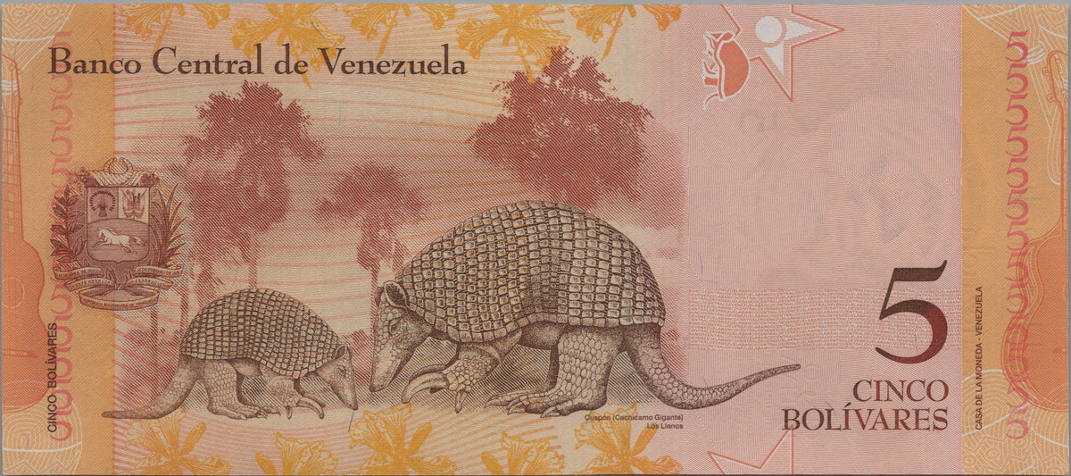 Venezuela 5 Bolivares Fuertes, P89e, 2013, Uncirculated; features a Giant Armadillo