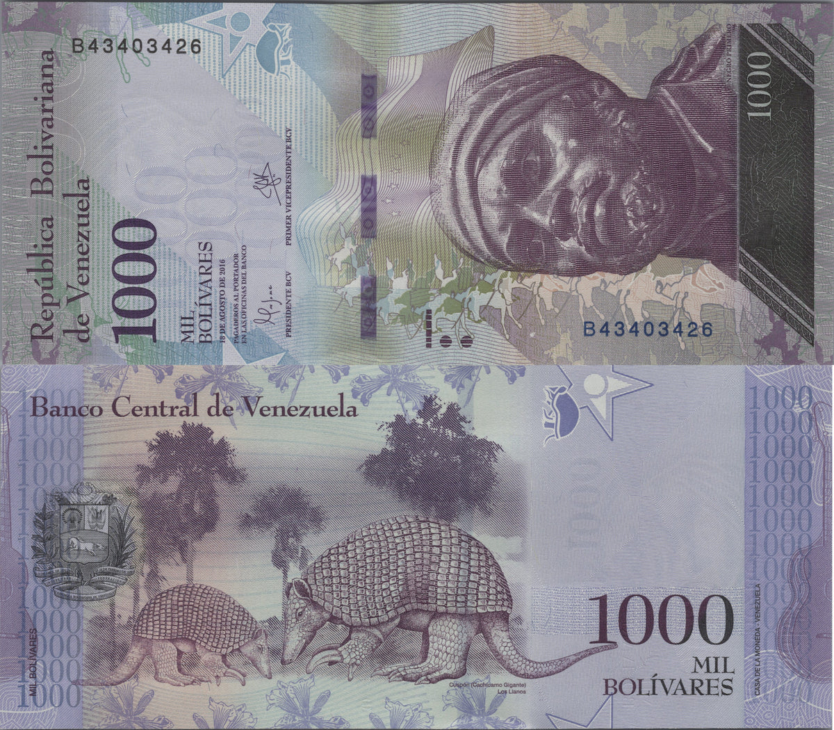 Venezuela 1000 Bolivares, P95a, 2016, Uncirculated; features a Giant Armadillo