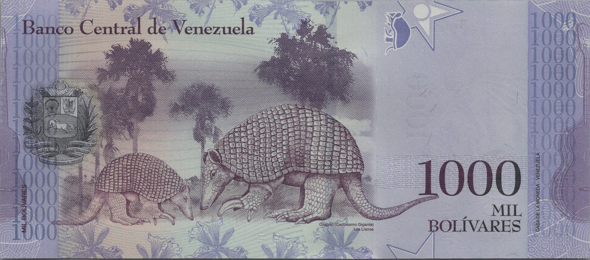 Venezuela 1000 Bolivares, P95a, 2016, Uncirculated; features a Giant Armadillo