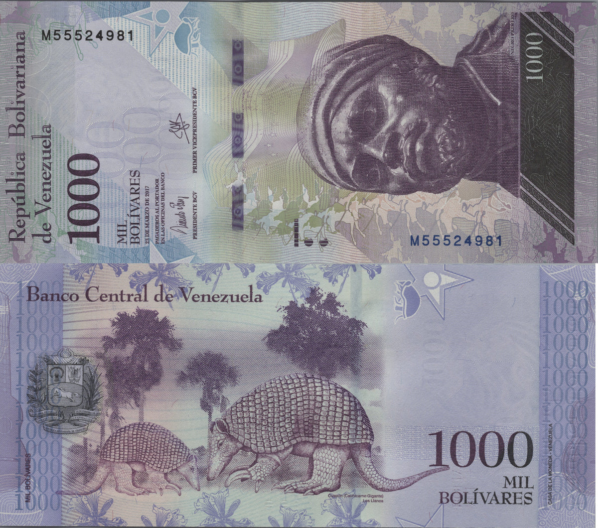 Venezuela 1000 Bolivares, P95b, 2017, Uncirculated; features a Giant Armadillo