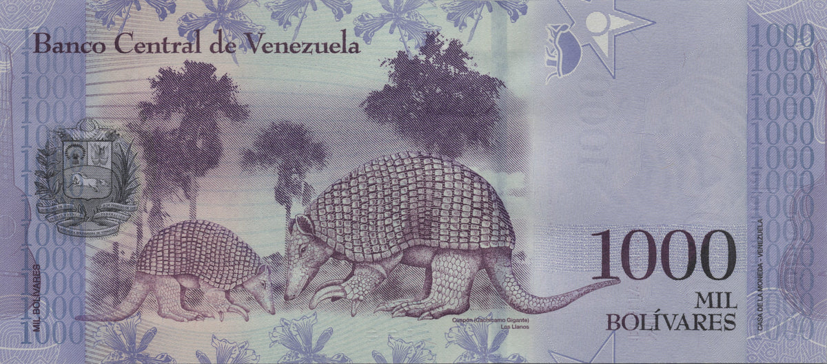Venezuela 1000 Bolivares, P95b, 2017, Uncirculated; features a Giant Armadillo