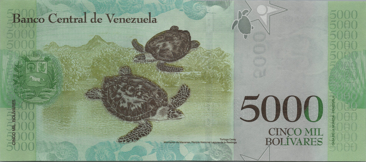 Venezuela 5000 Bolivares, P97c, 2017, Uncirculated; features a Hawksbill Turtle