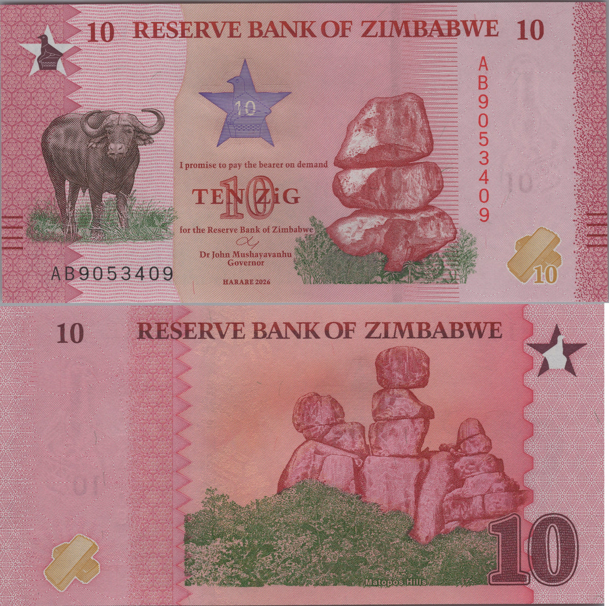 Zimbabwe 10 ZiG, B206a, 2026, UNCIRCULATED; features a Cape Buffalo